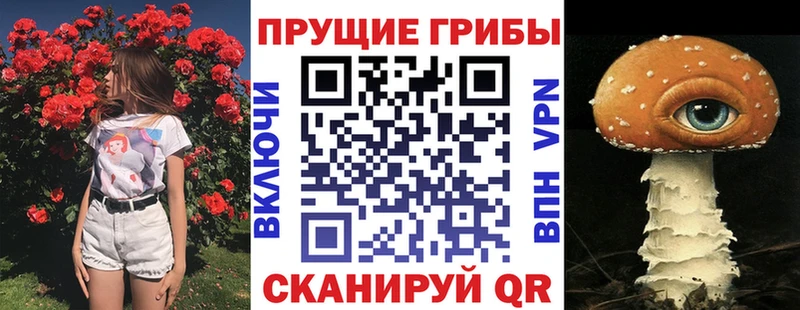 Галлюциногенные грибы мухоморы Ржев