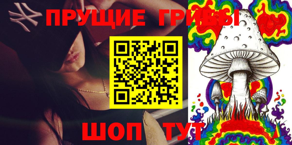 наркошоп  Вход с VPN  Ржев  Псилоцибиновые грибы мицелий 