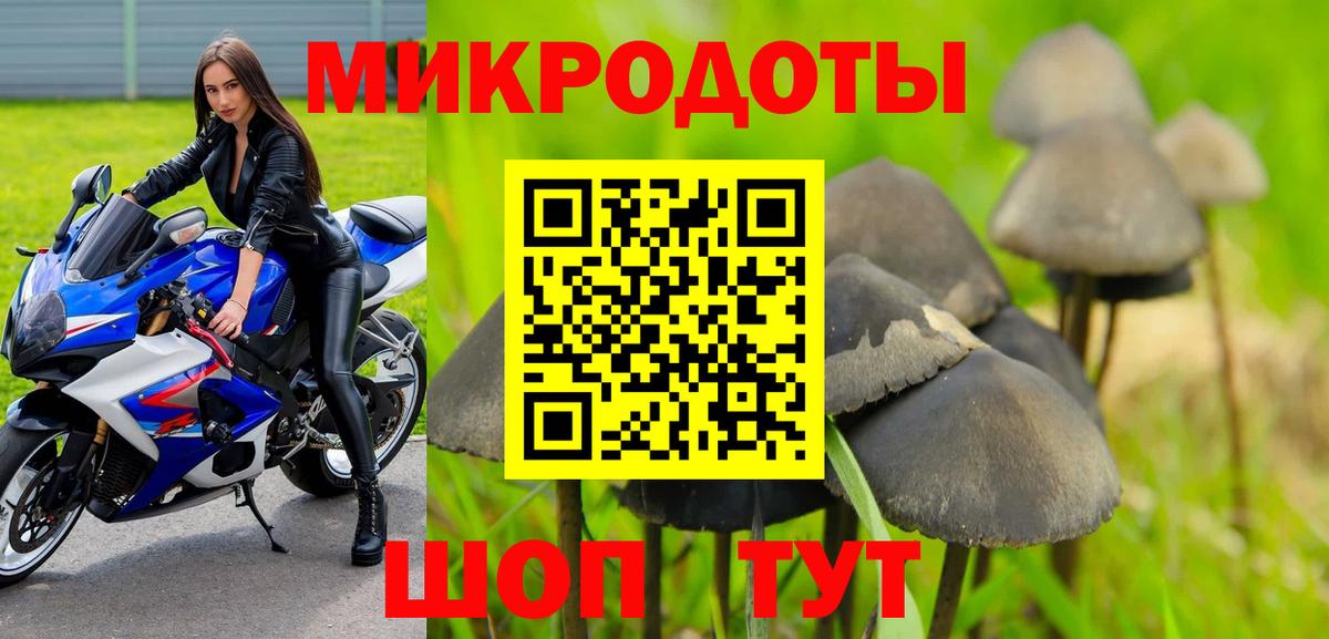 Псилоцибиновые грибы Magic Shrooms Ржев