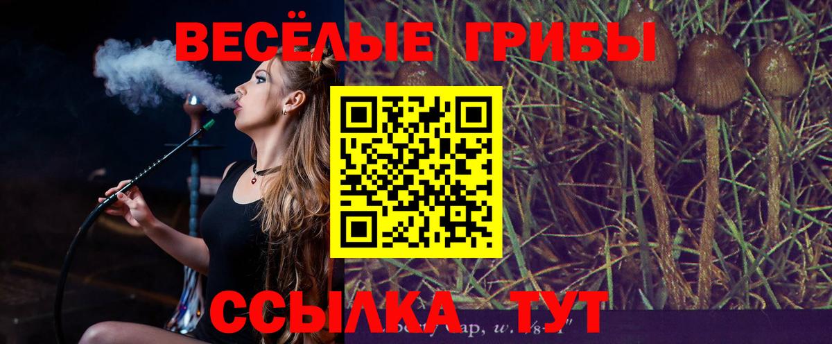 Псилоцибиновые грибы Cubensis  Ржев 