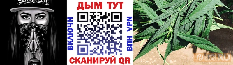 Шишки марихуана планчик Ржев